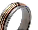 Titanium Rings with Precious Inlays